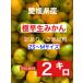  Ehime префектура производство высшее . сырой мандарин 2 kilo есть перевод *. для бытового использования 2S~M размер 