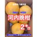 8/11~8/16 до. заказ минут. 8/17.. последовательный отправляем! Ehime префектура Hachiman . производство Kawauchi ..2 kilo супер есть перевод *. для бытового использования пробный для размер нет выбор другой 