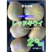  Ehime префектура производство красный киви ( Rainbow красный )2 kilo примерно 30 шт передний и задний (до и после) 