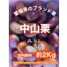  Ehime префектура производство Nakayama каштан 2 kilo ( сырой каштан ). для бытового использования сладости * каштан рис *. кожа . сухой . предотвратить поэтому наклон рейс .. доставка будет.