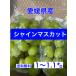  Ehime префектура производство автомобиль in мускат примерно 1~1.1 kilo 2. ввод бесплатная доставка .. есть 