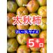  Ehime префектура производство futoshi осень хурма 5 kilo 2L~3L размер . хурма *. для бытового использования sak считая . еда чувство . особенность. . хурма.!