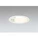 �_�E�����C�g 125�Ӗ����� �I�[�f���b�N ODELIC LED �Ɩ���� �I�t�z���C�g �d���F2700K 60W���� �h�J�^ �l���Z���T�[�t OD261856R