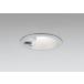 �_�E�����C�g 100�Ӗ����� �I�[�f���b�N ODELIC LED �Ɩ���� �}�b�g�V���o�[ �d���F2700K 60W���� �h�J�^ �l���Z���T�[�t OD261997R