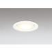 �_�E�����C�g 100�Ӗ����� �I�[�f���b�N ODELIC LED �Ɩ���� �I�t�z���C�g �d���F2700K �t�ʑ����� 100W���� �����v�����\ OD361203LCR