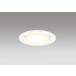 �_�E�����C�g 100�Ӗ����� �I�[�f���b�N ODELIC LED �Ɩ���� �I�t�z���C�g �������F2700K-20000K 60W���� �����v�����\ Bluetooth OD361204CR