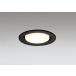 �_�E�����C�g 100�Ӗ����� �I�[�f���b�N ODELIC LED �Ɩ���� �u���b�N �d���F2700K �t�ʑ����� 100W���� �����v�����\ OD361229LCR