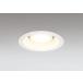 �_�E�����C�g 125�Ӗ����� �I�[�f���b�N ODELIC LED �Ɩ���� �I�t�z���C�g �d���F2700K �t�ʑ����� 100W���� �����v�����\ OD361230LCR