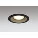 �_�E�����C�g 125�Ӗ����� �I�[�f���b�N ODELIC LED �Ɩ���� �u���b�N �d���F2700K �t�ʑ����� 100W���� �����v�����\ OD361231LCR