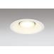 �_�E�����C�g 150�Ӗ����� �I�[�f���b�N ODELIC LED �Ɩ���� �I�t�z���C�g �d���F2700K �t�ʑ����� 100W���� �����v�����\ OD361232LCR