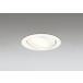 �_�E�����C�g 100�Ӗ����� �I�[�f���b�N ODELIC LED �Ɩ���� �I�t�z���C�g �d���F2700K �t�ʑ����� 100W���� ���j�o�[�T�� �����v�����\ OD361239LCR