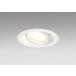 �_�E�����C�g 125�Ӗ����� �I�[�f���b�N ODELIC LED �Ɩ���� �I�t�z���C�g �d���F2700K �t�ʑ����� 100W���� ���j�o�[�T�� �����v�����\ OD361241LCR