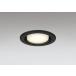 �_�E�����C�g 100�Ӗ����� �I�[�f���b�N ODELIC LED �Ɩ���� �u���b�N �d���F2700K �t�ʑ����� 100W���� ���ω� �����v�����\ OD361510LCR