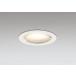 �_�E�����C�g 100�Ӗ����� �I�[�f���b�N ODELIC LED �Ɩ���� �I�t�z���C�g �d���F2700K �t�ʑ����� 100W���� ���ω� �h�J�^ �����v�����\ OD361529LCR