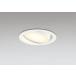 �_�E�����C�g 100�Ӗ����� �I�[�f���b�N ODELIC LED �Ɩ���� �I�t�z���C�g �d���F2700K 100W���� ���j�o�[�T�� ���ω� �����v�����\ OD361555LDR
