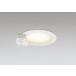 �_�E�����C�g 100�Ӗ����� �I�[�f���b�N ODELIC LED �Ɩ���� �I�t�z���C�g �d���F2700K 100W���� �h�J�^ �����v�����\ �l���Z���T�[�t OD361852LR