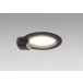 �_�E�����C�g 100�Ӗ����� �I�[�f���b�N ODELIC LED �Ɩ���� �u���b�N �d���F2700K 60W���� �h�J�^ �����v�����\ �l���Z���T�[�t OD361855LR