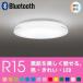 󥰥饤ŷ  LED  10 ӥ  ޡȥե Bluetooth ץ ⥳ Ĵ Ĵ