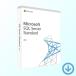 Microsoft SQL Server 2019 Standard Edition японский язык [ загрузка версия ] / 2 лицензия .. лицензия 