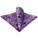 SHLAX&amp;WINGpeiz Lee узор синий розовый шелк pocket square мужской 