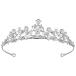 FRCOLOR.. Tiara свадебный Tiara аксессуары для волос свадьба свадьба аксессуары невеста день рождения подарок 
