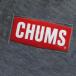 CHUMS �`�����X Sticker CHUMS Logo Small CH62-1072 �X�e�b�J�[ �֘A�摜3