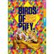 ϡ쥤βʤ BIRDS OF PREY 3ݥåȥꥢե [A4]