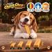 ���Y�� �� ����� CHEEZZ �x���M�[�� �q�}���� �`�[�Y ������ �d�� �n�[�h�X�e�B�b�N ������ �K�� �f���^���P�A �M�t�g �i�`������ ���^�� ���^�� ��^��
