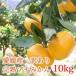 [ бесплатная доставка ] Ehime производство есть перевод .. маленький мандарин 10kg. для бытового использования маленький шар ..... маленький шарик S 2S мандарин Ehime мандарин . сырой мандарин [* бесплатная доставка. часть регион за исключением ]