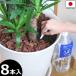  полив приятный ...8 шт. входит .(4 шт. входит .×2 комплект ) автоматика поилка автоматика полив контейнер автоматика полив машина растения декоративное растение путешествие сделано в Японии почтовая доставка 