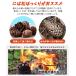 �l�C�`���[�X�g�[�u �E�b�h�X�g�[�u ���Α� ��^ �񎟔R�� �A�E�g�h�A �L�����v�p �\���X�g�[�u ��19�~h30cm �y�� �R���p�N�g �����^�ѕ֗� �X�e�����X �ܓ� �֘A�摜4