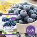 [ рефрижератор ]Delcy голубика 180g