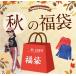 子供服 数量限定 福袋 夏物 秋物 ２〜３点入り お買い得 まとめ買い ベビー キッズ ガールズ ボーイズ 女の子 男の子 通園 通学 トップス  ボトムス ワンピース