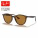 Ray-Ban RayBan RB4305F 710/83 53 RB4305F [ Япония стандартный товар солнцезащитные очки движение Drive ультрафиолетовые лучи UV уличный поляризованный свет ]