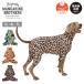MANDARINE BROTHERS �}���_�����u���U�[�Y Skin Tight Suit Multi Print �X�L���^�C�g�X�[�c�}���`�v�����g 1612�y �� ������ �U�� �� �z�y���[���ցE����s�z