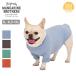 MANDARINE BROTHERS �}���_�����u���U�[�Y Skin Tight Warm T-Shirt �X�L���^�C�g�E�H�[��T�V���c 1611�y �� �����ё΍� �h�� �U�� �� �z�y���[���ցE����s�z