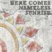 HERE COMES NAMELESS SUNRISE���̾��ס� J