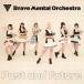 Past and Future Brave Mental Orchestra