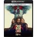 [Blu-Ray]28ǯ��... 4K UHD�ܥ֥롼�쥤 ���å� ����ǥ������ޡ�