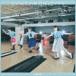 シンクロニシティ（TYPE-C／CD＋DVD） 乃木坂46