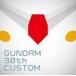 GUNDAM 30th CUSTOM �ʥ��˥᡼������