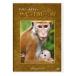  Disney nature | обезьяна. королевство . эта .