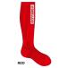 スノボ　ディーラックス ソックス2022/2023 DEELUXE  THERMO SOCKS EVO　限定カラー　RED！　ネコポス