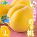 . сосна сельское хозяйство . желтый золотой персик 2kg(4-6 шар )/4kg(8-12 шар ).. Momo персик желтый персик . прямая поставка от производителя большой шар .. фрукты фрукты свежий популярный прекрасный тест .... подарок . сосна сельское хозяйство .7 месяц последняя декада -8 месяц последняя декада 