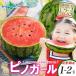  Yamagata префектура производство маленький шар ... Pinot девушка 1 шар /2 шар 7 месяц средний .-8 месяц сверху .*100 комплект ограничение прямая поставка от производителя фрукты фрукты свежий популярный прекрасный тест .... подарок подарок на Bon Festival летние каникулы 