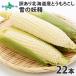  with translation corn Hokkaido your order white maize snow. ..2 2 ps white corn ... earth production gift present summer vegetable 