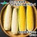  with translation corn snow. .... thing meal . comparing 1 1 pcs Hokkaido maize your order gourmet gift white corn ..BBQ