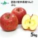  яблоко есть перевод 5kg.. Iwate префектура .. яблоко перевод есть фрукты фрукты Fruits. данный земля гурман прямая поставка от производителя 