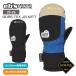 ebse винт GORE-TEX JR MITT Gore-Tex Kids Junior рукавица перчатка 3re year сноуборд 