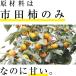 �V���[�x�b�g �M�t�g �`�V���[�x�b�g �`�A�C�X 9���� �g�n�` �s�c�`���ۂ���1�g���� �A�C�X ��j ���j �v���[���g �M�t�g 2026 ��PayPay�� �֘A�摜4